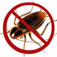 Anti Cockroach Repellent