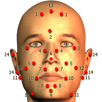 Massage Body Spots