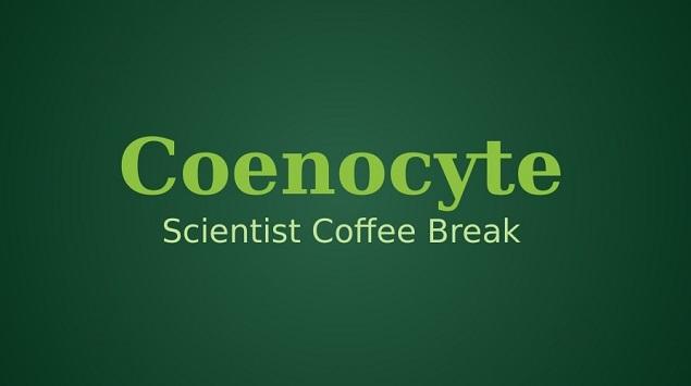 Coenocyte, Media Sosial Karya Anak Bangsa bagi Para Saintis