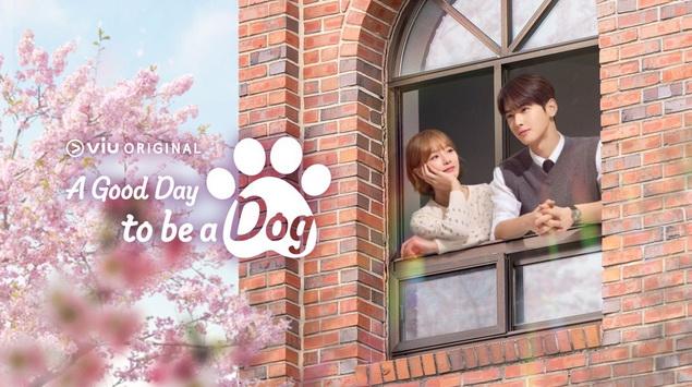 Romantisnya Cha Eun-woo ke Park Gyu-young di A Good Day to be a Dog