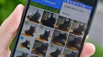 Lucu! Bisa Bikin Video Singkat Hewan Piaraan dengan Google Photos!