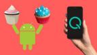 Menerka Kudapan Terbaik untuk Android Q