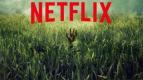 In The Tall Grass, Horor Stephen King Hadir Sekali Lagi di Netflix