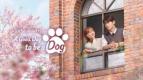 Romantisnya Cha Eun-woo ke Park Gyu-young di A Good Day to be a Dog