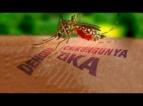 Stop Virus Zika, Malaria & DBD dengan Apps Android