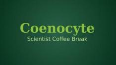 Coenocyte, Media Sosial Karya Anak Bangsa bagi Para Saintis