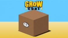 Grow Cube, Penasarannya Menumbuhkan sebuah Kubus menjadi Meriah