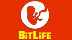 Cobalah Hidup Baru dalam BitLife: Life Simulator
