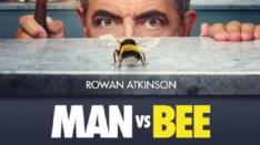 Absurdnya Pertarungan Manusia melawan Lebah dalam Man vs. Bee