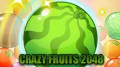 Crazy Fruits 2048: Main Game, Nonton Iklan, Dapat Uang?