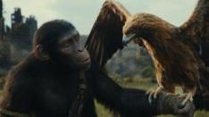 Trailer Pertama & Poster untuk "Kingdom of the Planet of the Apes"