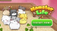 Hamster Life: Bermain Match sambil Mendekor Rumah Hamstermu!
