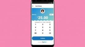 Skype + Paypal = Cara Baru Mengirim Uang!