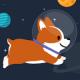 Space Corgi - Dogs and Friends